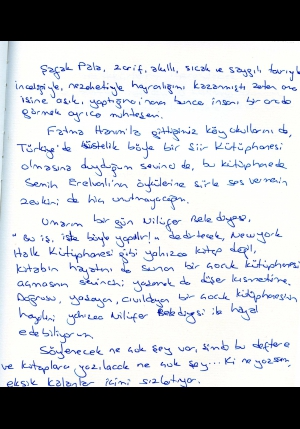 MELEK ÖZLEM SEZER-3