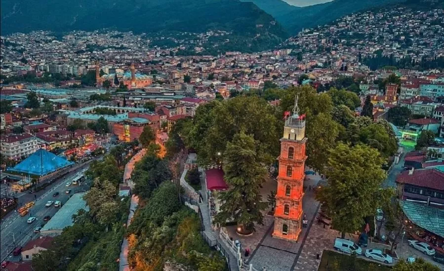 Bursa